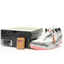 AIR JORDAN 3 RETRO "WINGS 2024"